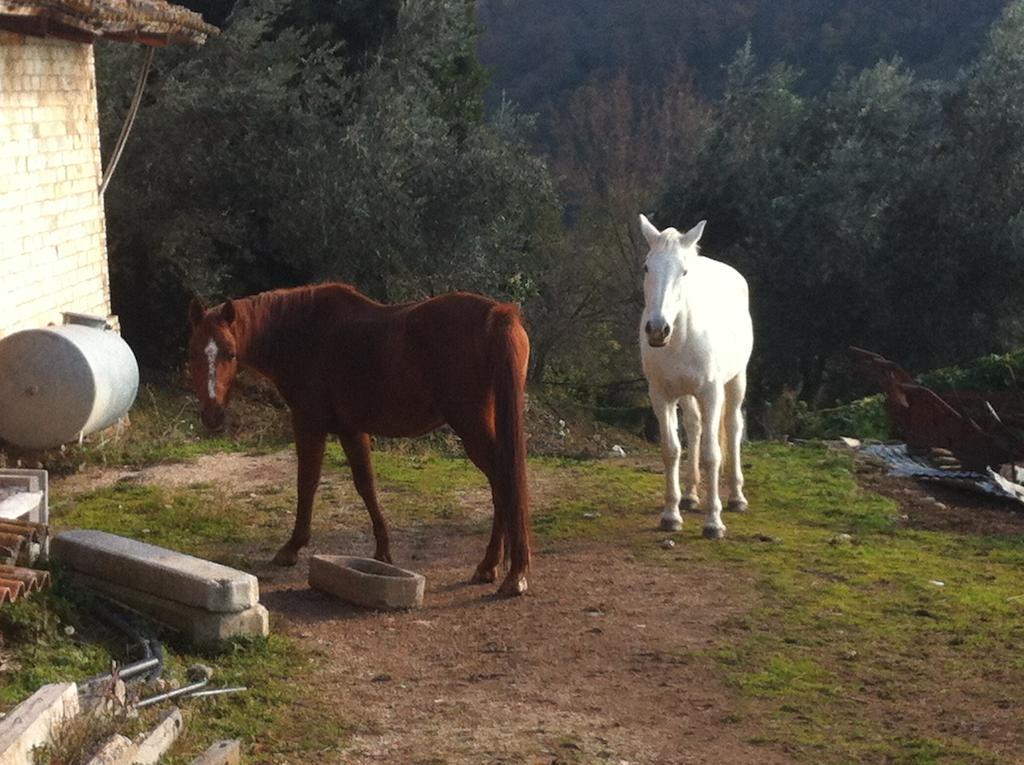 Agriturismo Villa Gabbiano Capodacqua  Eksteriør bilde